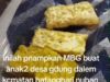 Menu MBG di Desa Gedong Dalam kec Batanghari Nuban Tidak layak Untuk Konsumsi